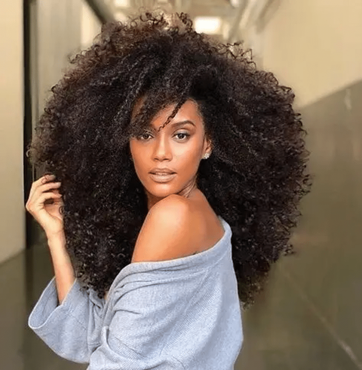 Exemple de coiffure afro femme
